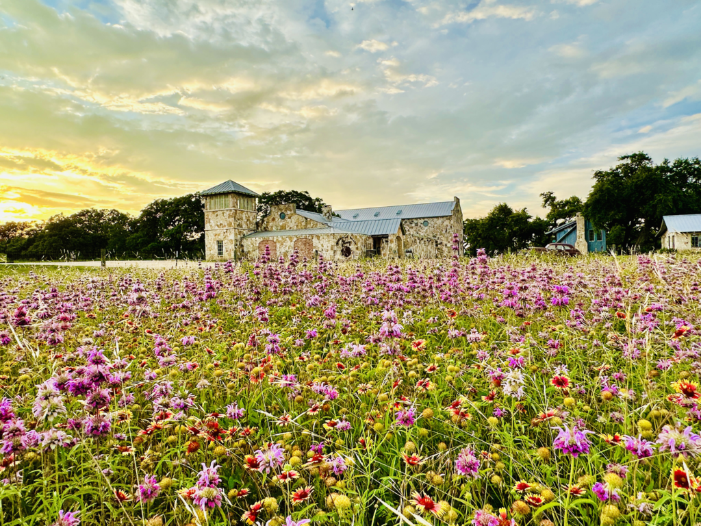 Enjoy the Perks of our Wine Club Wimberley Valley Winery